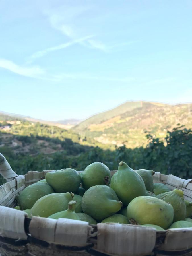 Private Douro- Quinta Das Susandas Mesão Frio Екстериор снимка