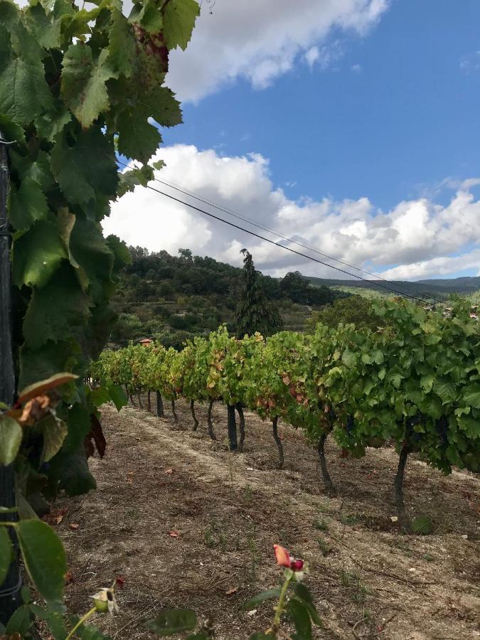 Private Douro- Quinta Das Susandas Mesão Frio Екстериор снимка
