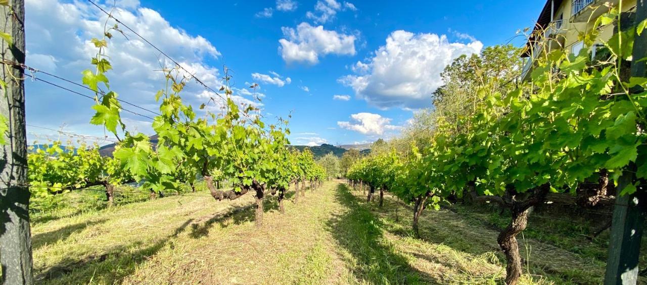 Private Douro- Quinta Das Susandas Mesão Frio Екстериор снимка