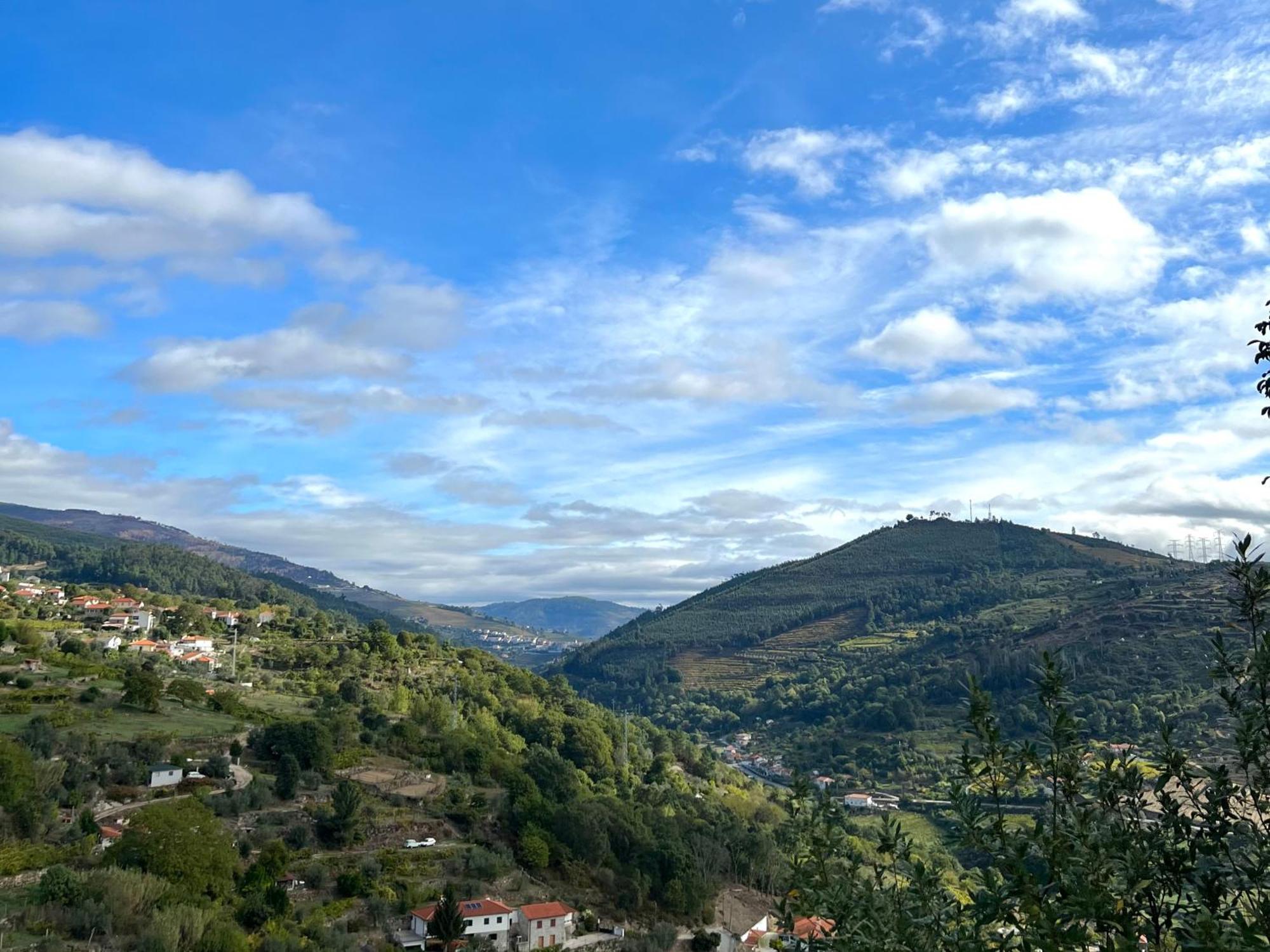 Private Douro- Quinta Das Susandas Mesão Frio Екстериор снимка