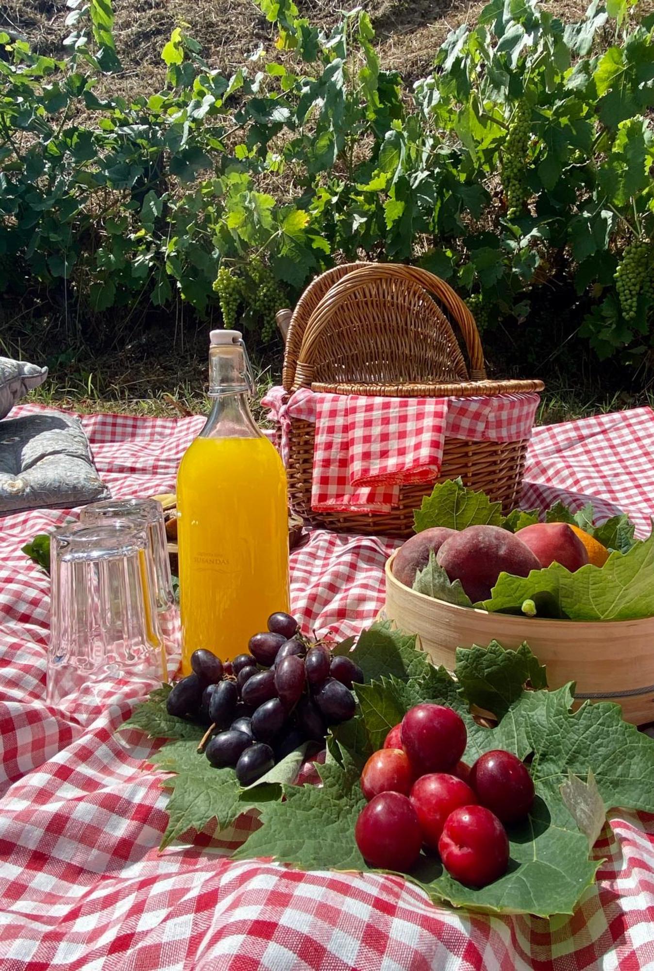 Private Douro- Quinta Das Susandas Mesão Frio Екстериор снимка