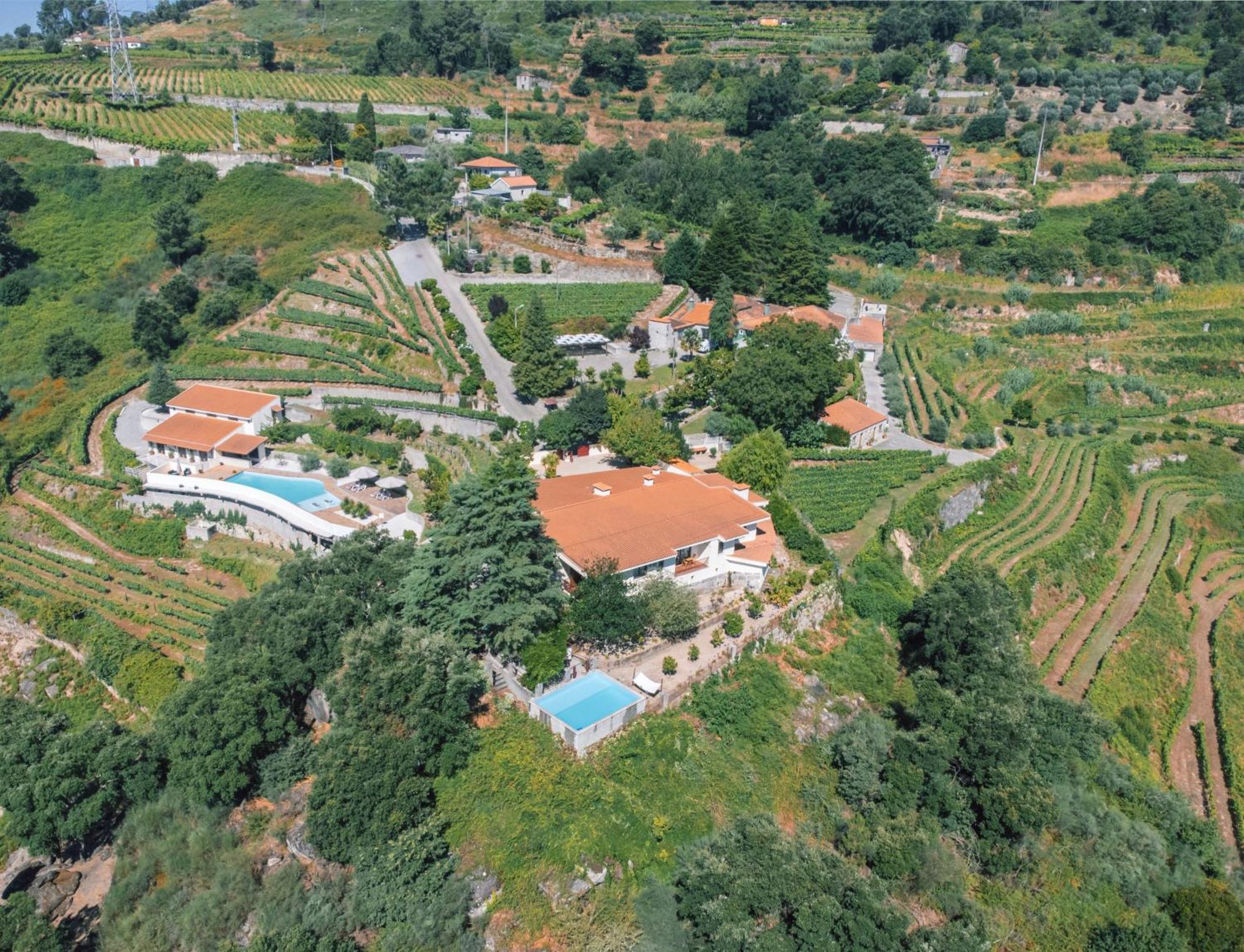 Private Douro- Quinta Das Susandas Mesão Frio Екстериор снимка